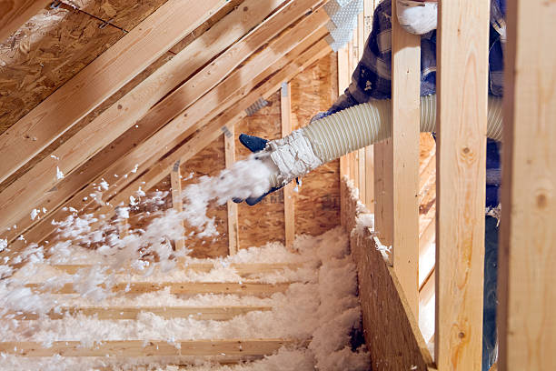 Types of Insulation We Offer in Miramar, FL